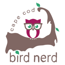 Cape Cod Bird Nerd Logo